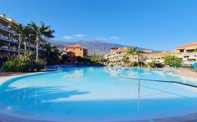 Retama Del Teide, Puerto De La Cruz